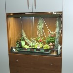 orchidario con orchidee, piante carnivore e tropicali orchidario con orchidee, piante carnivore e tropicali