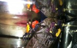 coppia di granchi geosesarmacoppia di granchi geosesarma, il viola Ã¨ chiamato anche "vampire" perchÃ¨ in effetti molto scuro, con zone viola... fa un po' paura