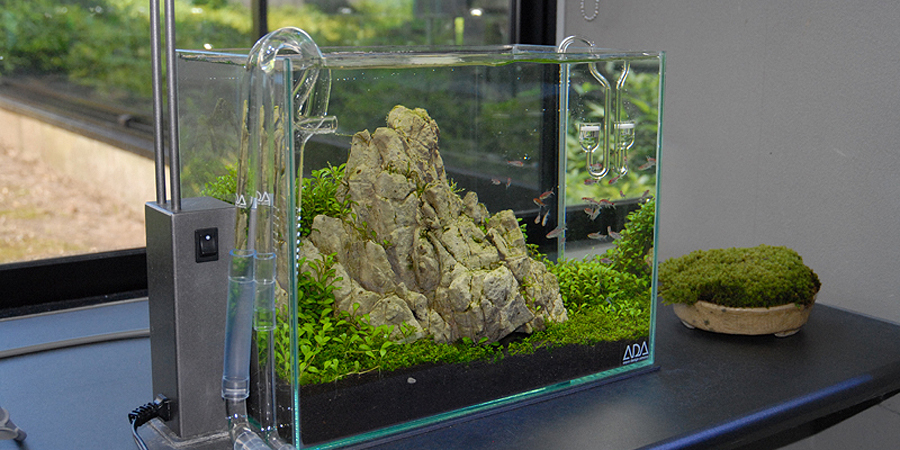 14-nano_aquariums.jpg