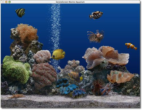 screen saver acquario