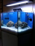 Acquario marino, vista laterale dopo l'inserimento delle rocce e della nuova pompa di movimenti Tunze 6025