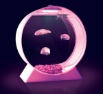 acquario da scrivania per meduse - desktop jellyfish tank
