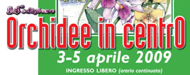 Orchidee in Centro, a Monte Porzio catone