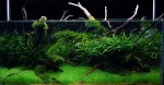 rimless, l'acquario di Orlando dagli USA