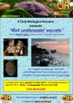 BALI UNDERWATER SECRETS, la prossima serata fotografica del Club Ittiologico Romano