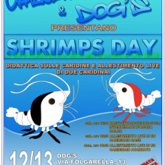 CrazyShrips Day a Ciampino (ROMA)