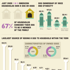Infografica sugli animali domestici in USA