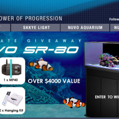Accessori della Innovative Marine per nano acquari marini