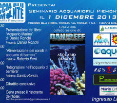 Seminario acquariofili piemontesi, il 1 dicembre a Collegno