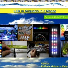 LED in Acquario in 5 Mosse (serata CIR)