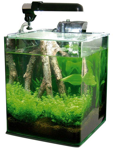 Wave Box Cube o Dennerle NanoCube (acquario cubico)?